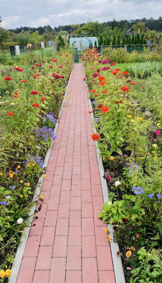 Działka rod Kozienice. Zdjęcie 4