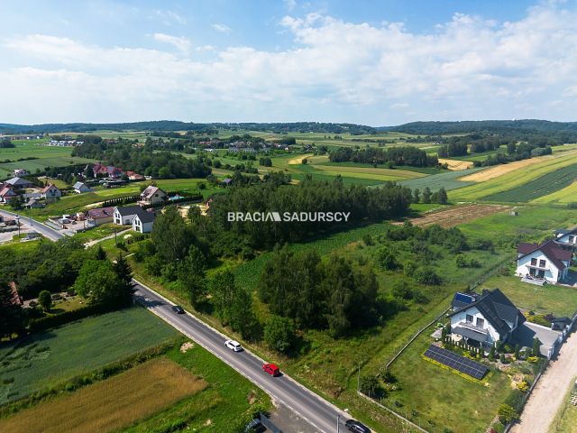 Działka inwestycyjna Cholerzyn. Zdjęcie 4