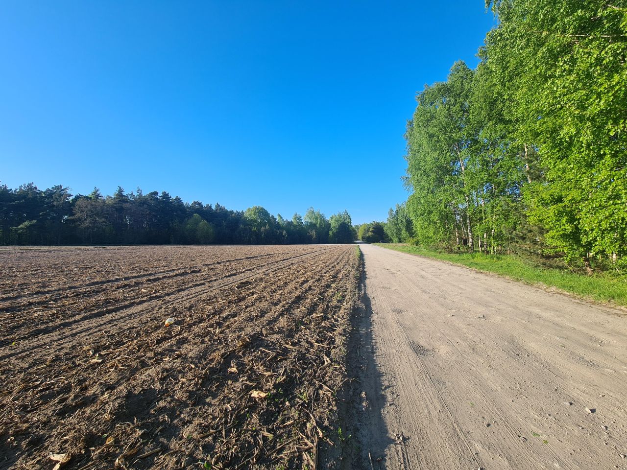 Działka rolno-budowlana Sochaczew, ul. Przylasek. Zdjęcie 4