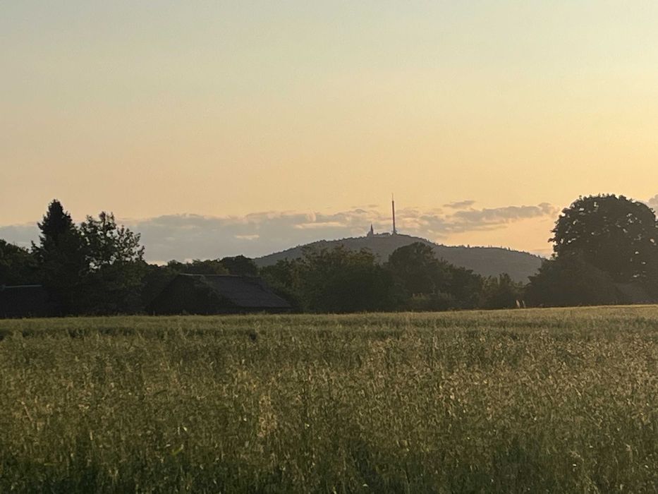 Działka rolno-budowlana Jeleniów