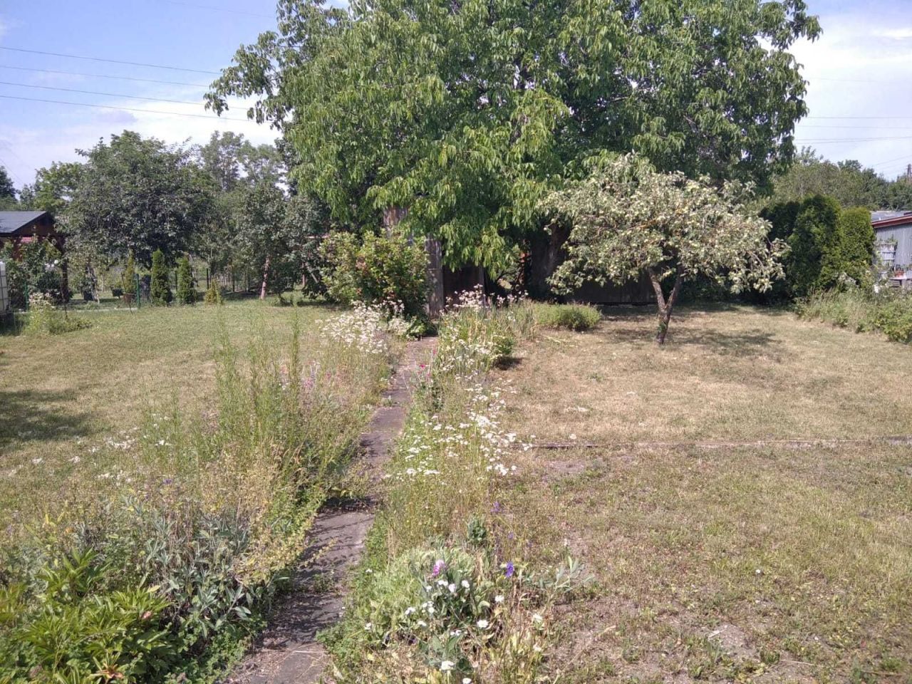 Działka rod Opole, ul. Luboszycka