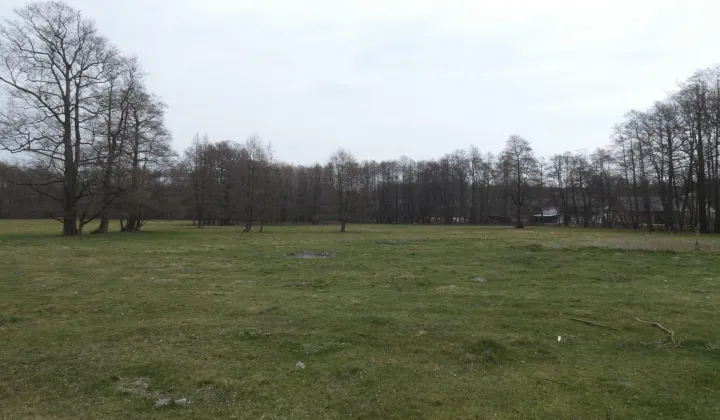 Działka rolno-budowlana Centawa, ul. Powstańców