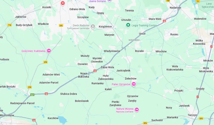 Działka leśna Władysławów, ul. Brzozowa