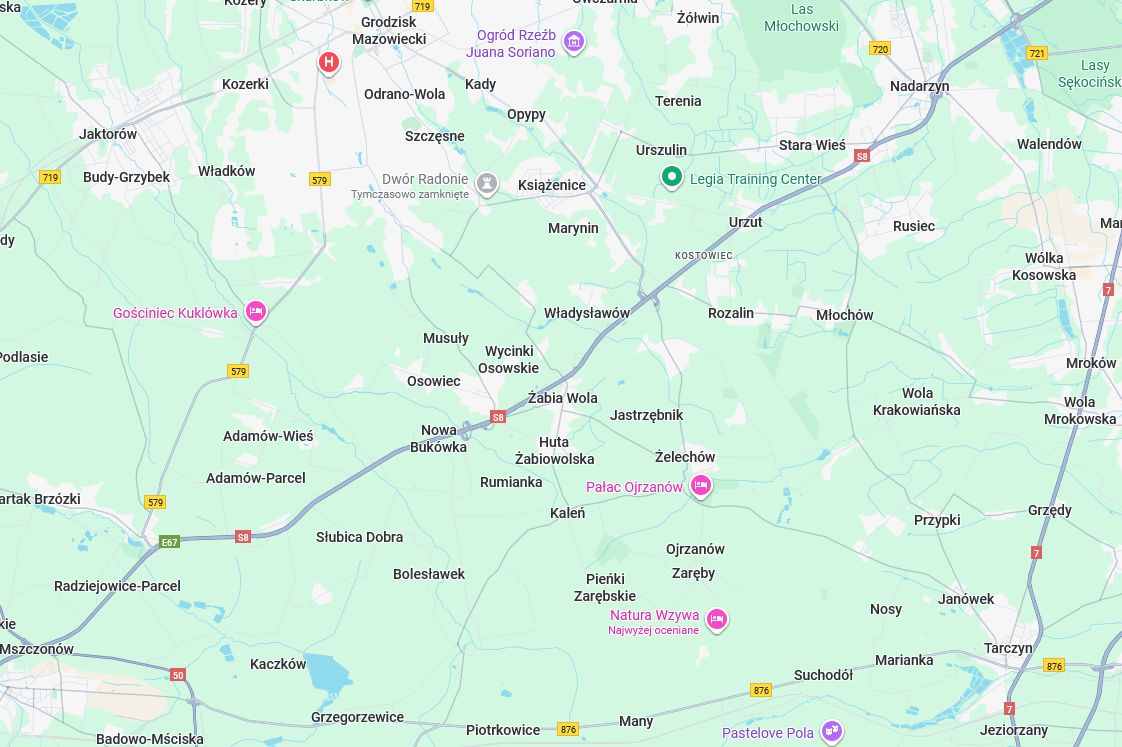 Działka leśna Władysławów, ul. Brzozowa