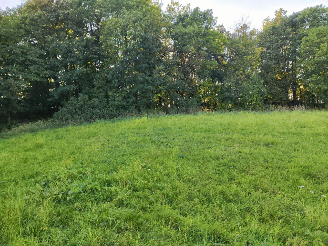 Działka budowlana Myślinów. Zdjęcie 8