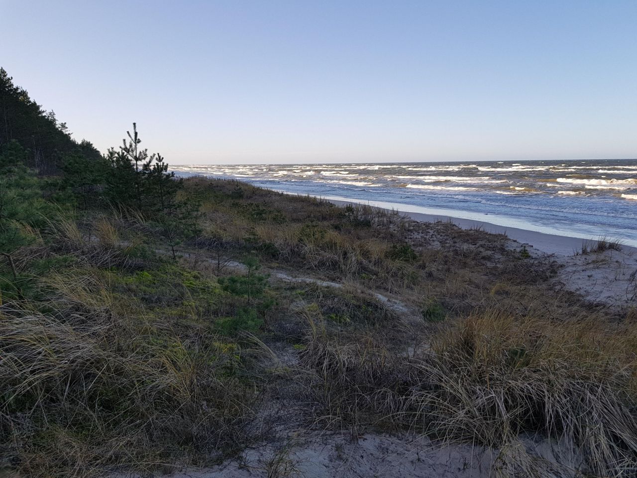 Działka budowlana Sarbsk, Sarbsk. Zdjęcie 32