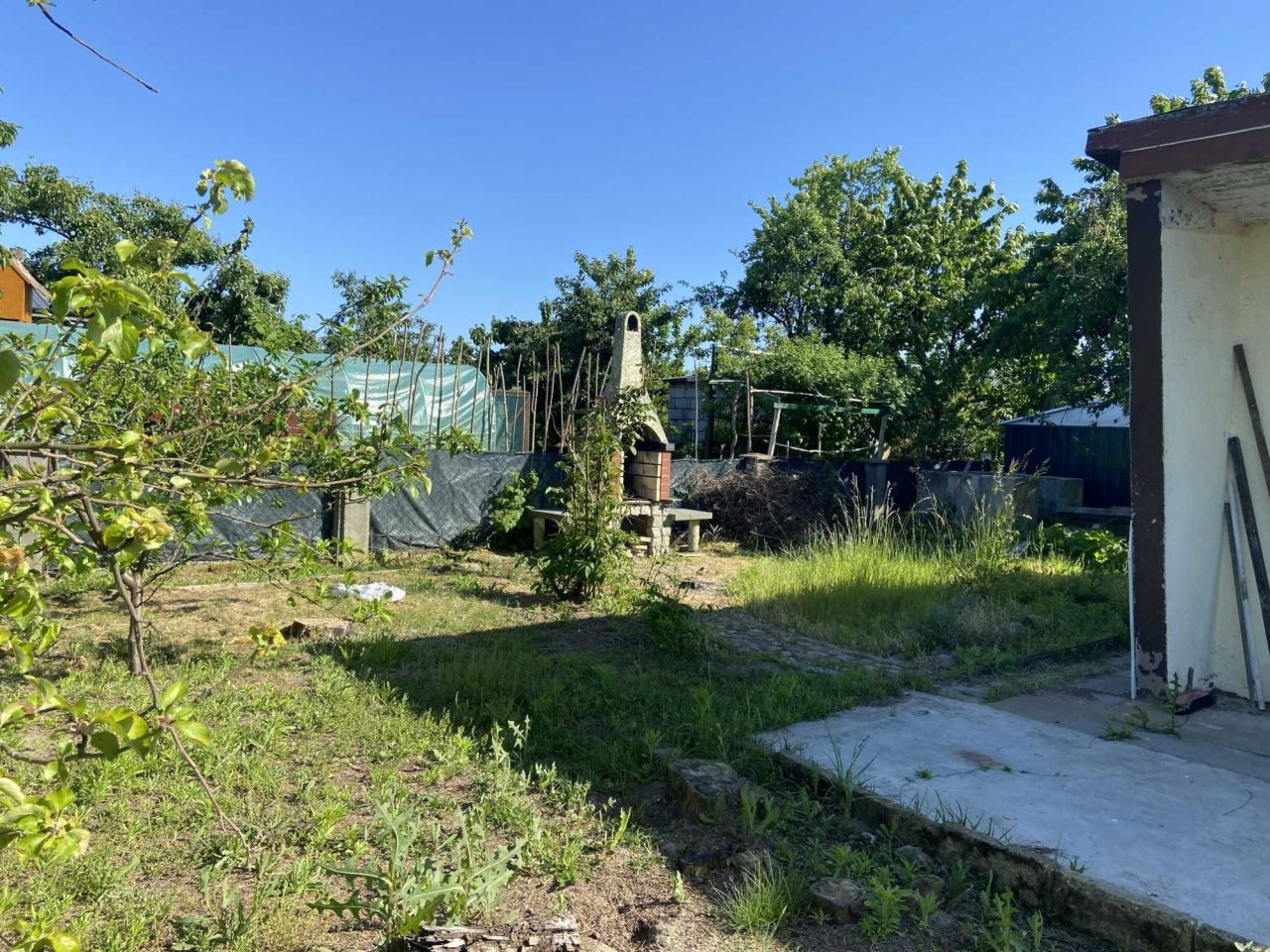 Działka rod Międzychód. Zdjęcie 8