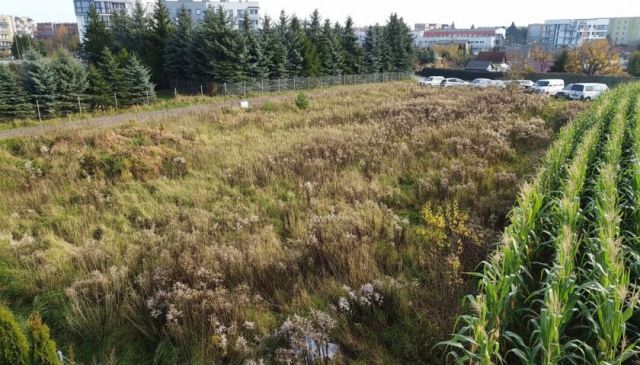 Działka budowlana Ełk, ul. Konieczki. Zdjęcie 5