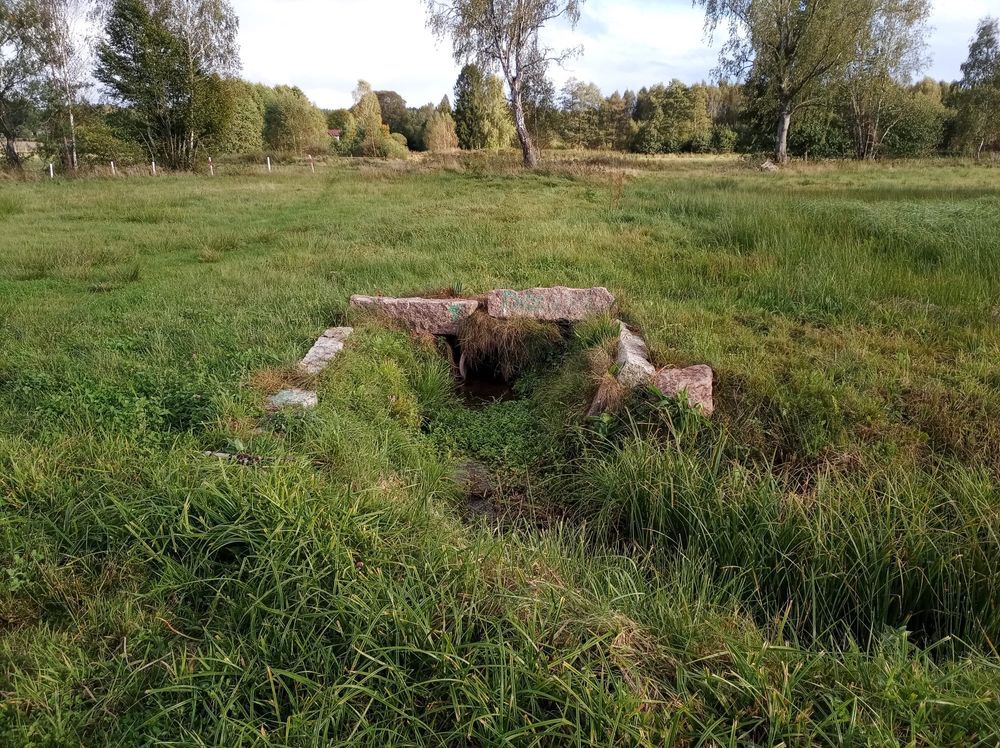 Działka rolno-budowlana Szczeglino. Zdjęcie 6