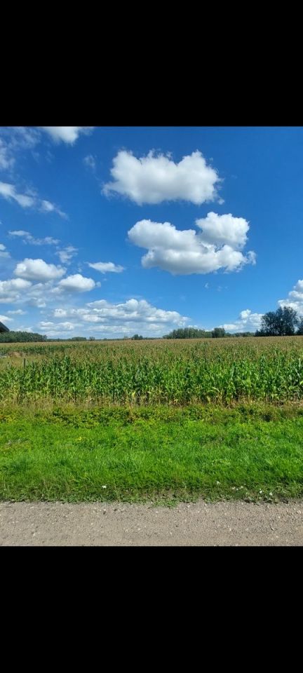 Działka budowlana Ostrzeniewo