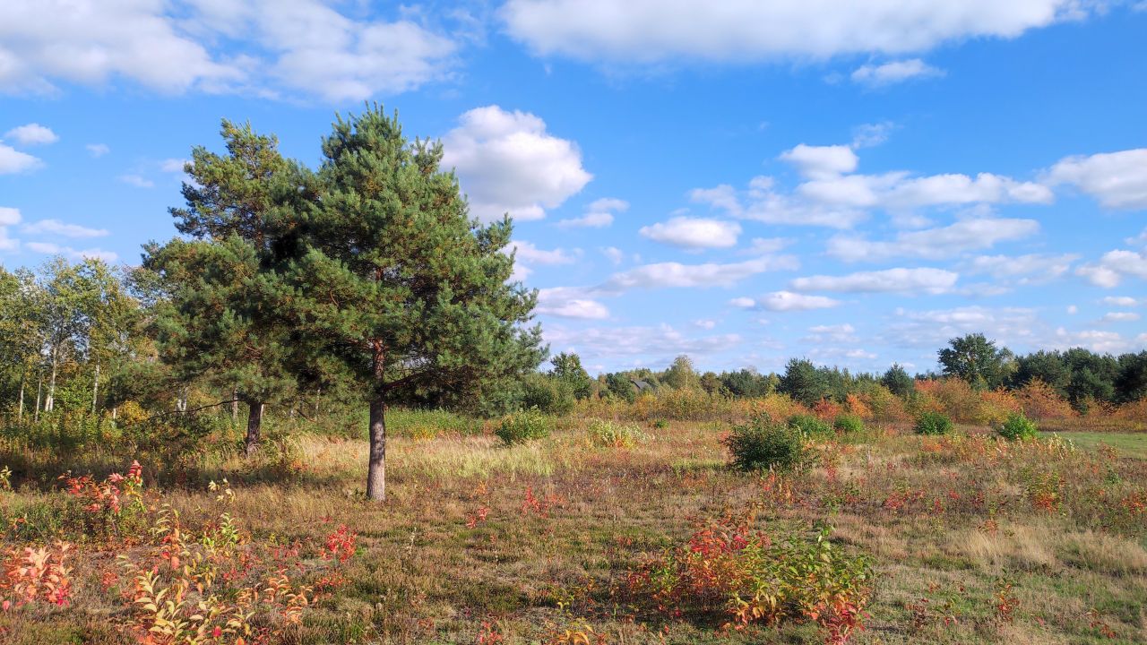 Działka budowlana Krzaki Czaplinkowskie, ul. Wrzosowa. Zdjęcie 1