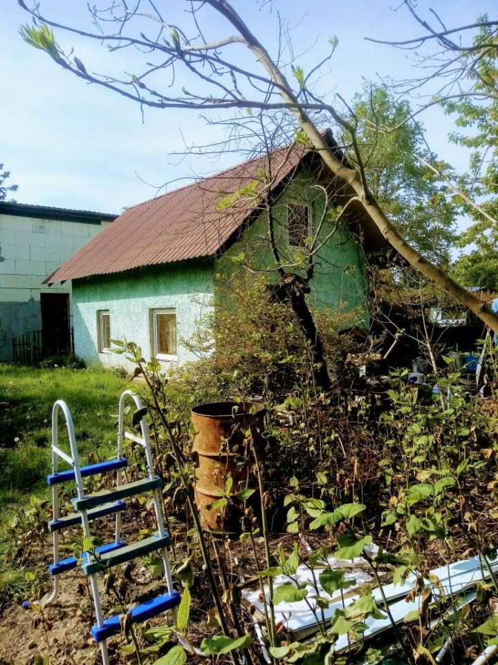 Działka rod Poznań. Zdjęcie 2