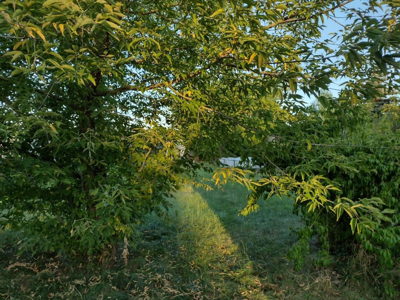 Działka rekreacyjna Gostyń. Zdjęcie 7
