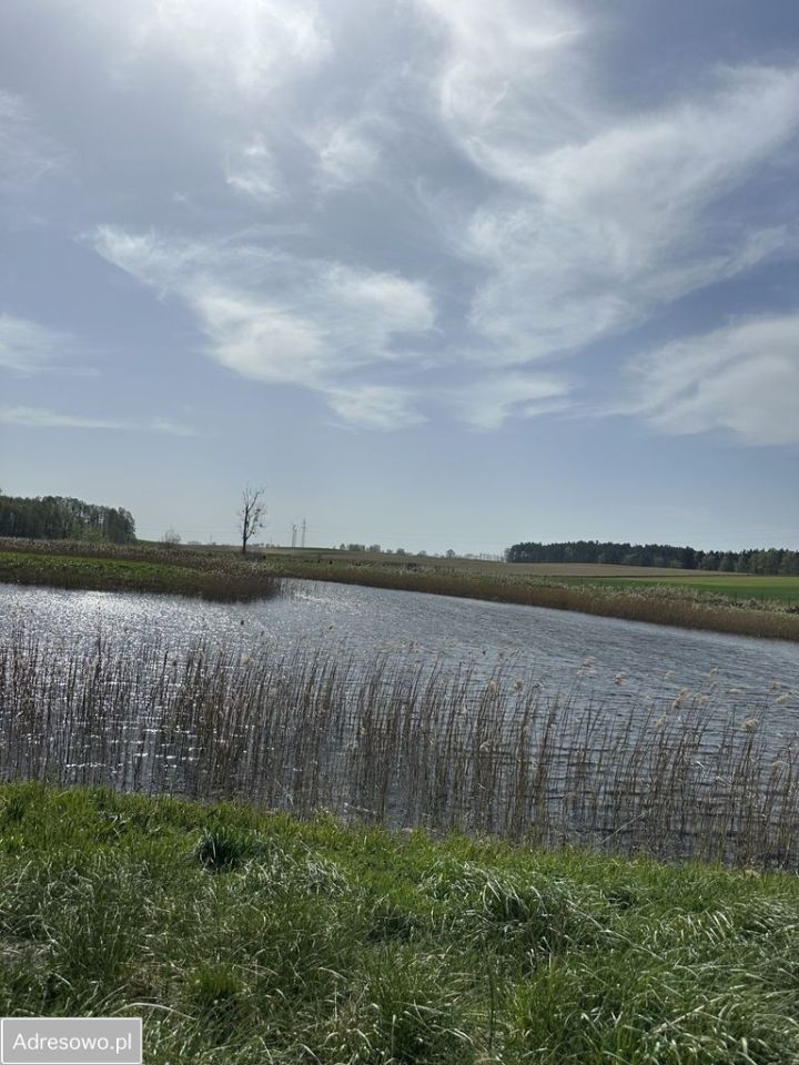 Działka rolno-budowlana Dębe, ul. Na Trzciniec. Zdjęcie 2