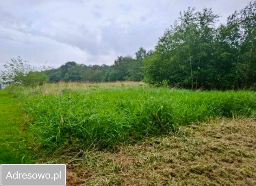 Działka budowlana Pisarzowice, ul. Krakowska. Zdjęcie 3