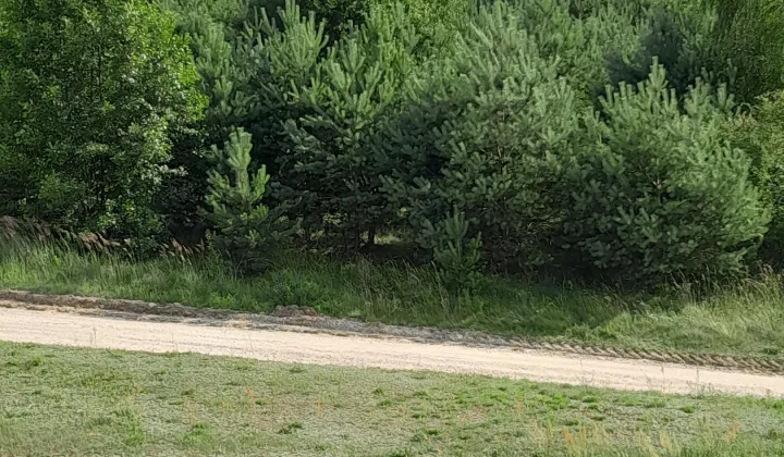 Działka rolno-budowlana Zbiczno, ul. Jeziorna