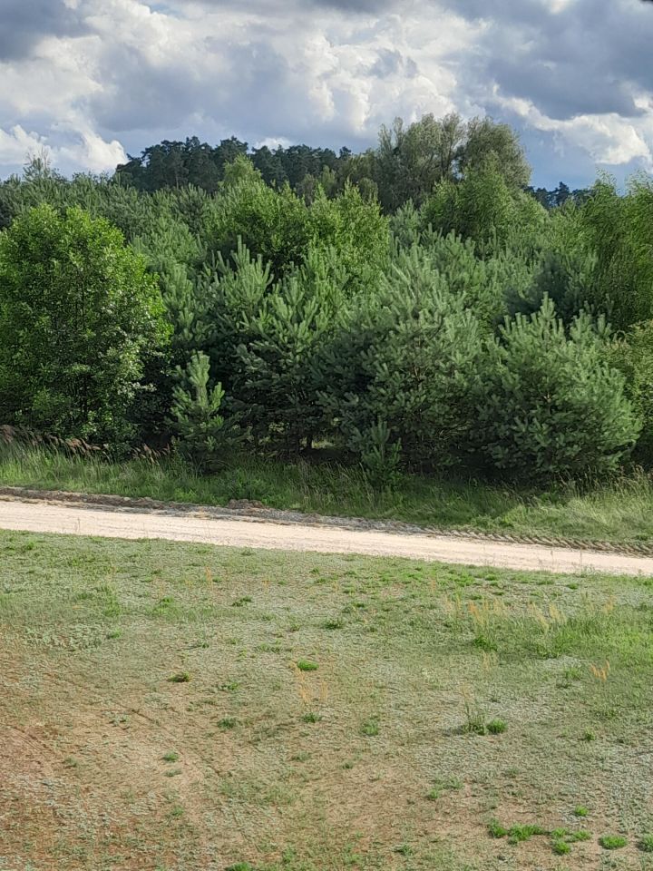 Działka rolno-budowlana Zbiczno, ul. Jeziorna. Zdjęcie 1