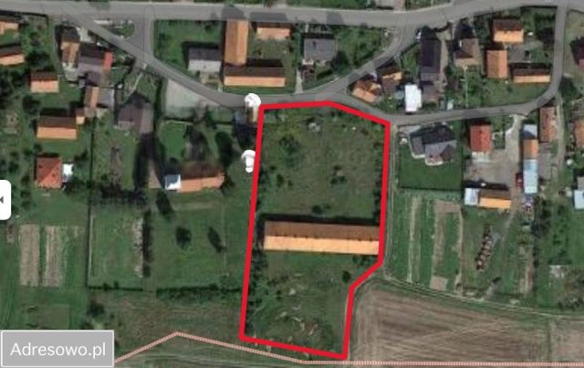 Hala/magazyn Rosochata. Zdjęcie 1