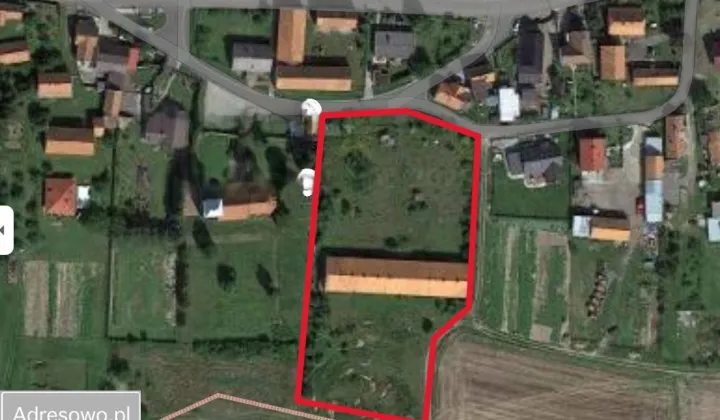 Hala/magazyn Rosochata