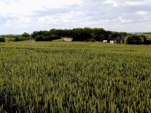 Działka budowlana Nowa Wieś Malborska. Zdjęcie 1