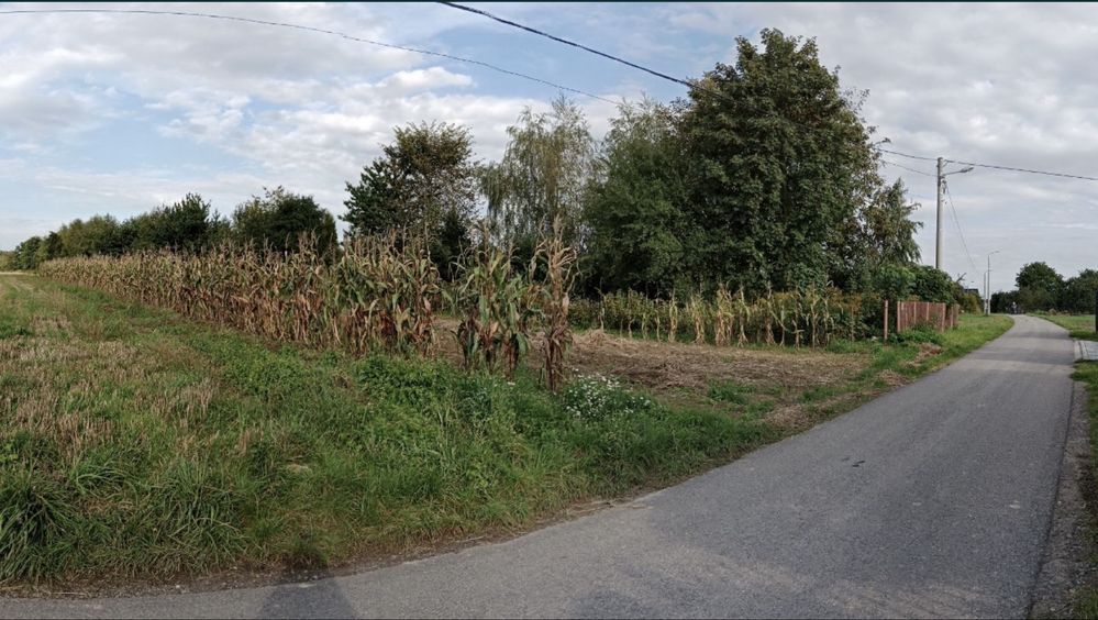 Działka rolno-budowlana Cholerzyn