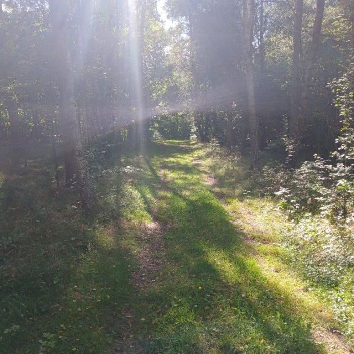 Działka rekreacyjna Lewinko. Zdjęcie 10