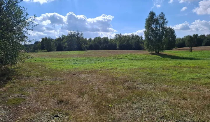 Działka rolna Bukowa Mała