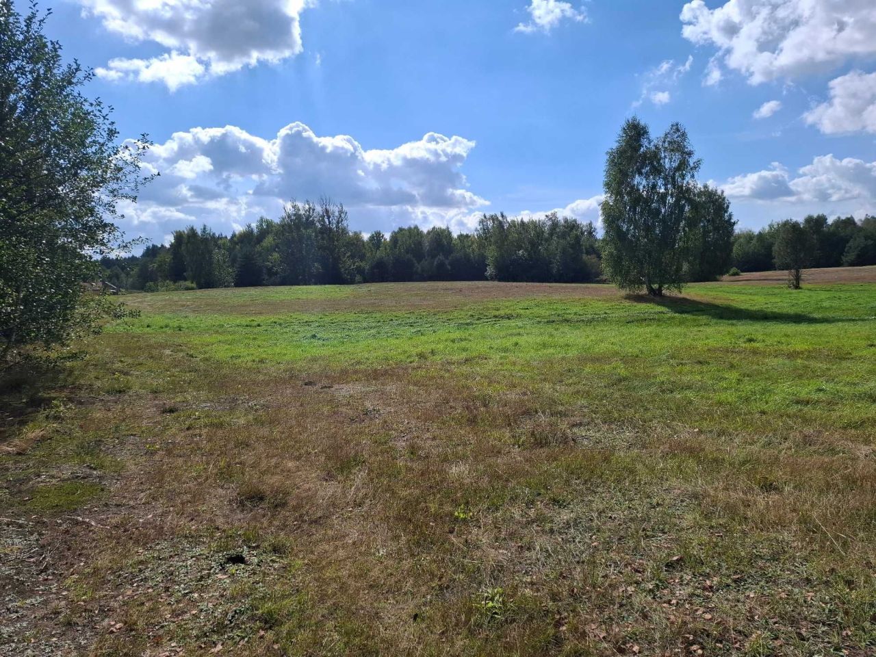 Działka rolna Bukowa Mała