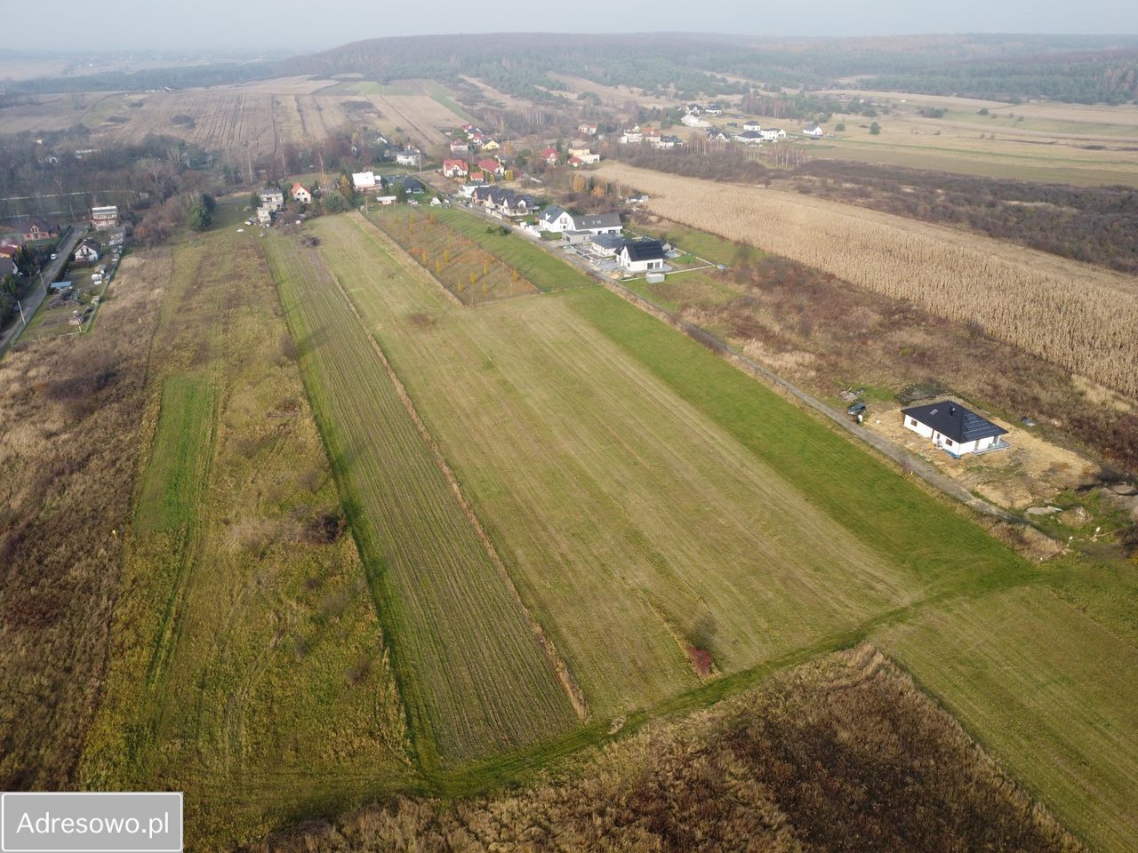 Działka budowlana Dąbrowa Górnicza Ujejsce, ul. Olimpijska. Zdjęcie 5