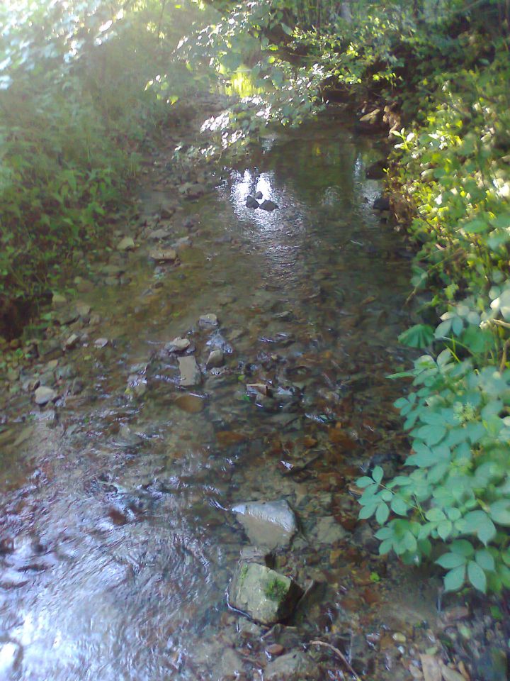 Działka rolno-budowlana Witoszyńce. Zdjęcie 9