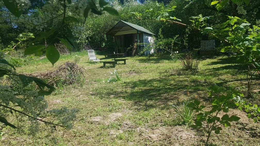 Działka rod Kraków Zwierzyniec. Zdjęcie 3