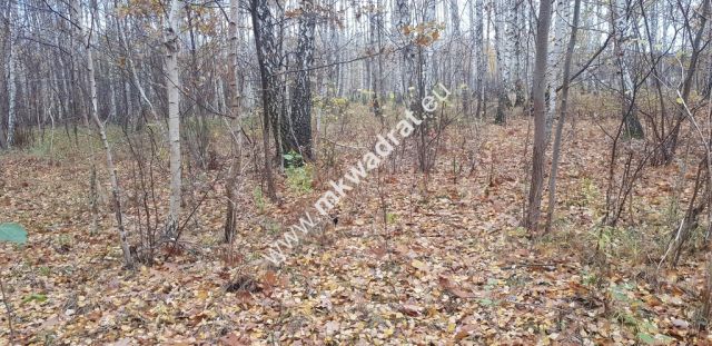 Działka budowlana Holendry Baranowskie. Zdjęcie 8