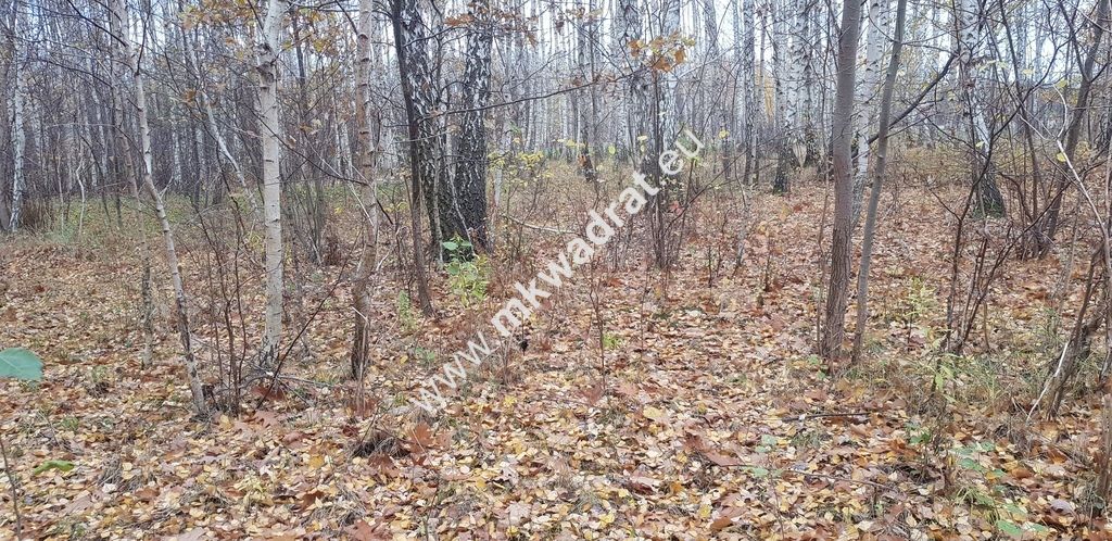 Działka budowlana Holendry Baranowskie. Zdjęcie 8