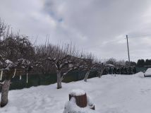 Działka budowlana Cedry Wielkie. Zdjęcie 1