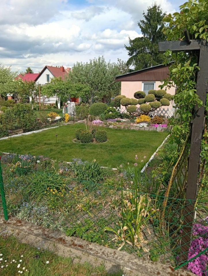 Działka rod Miroszowice. Zdjęcie 3