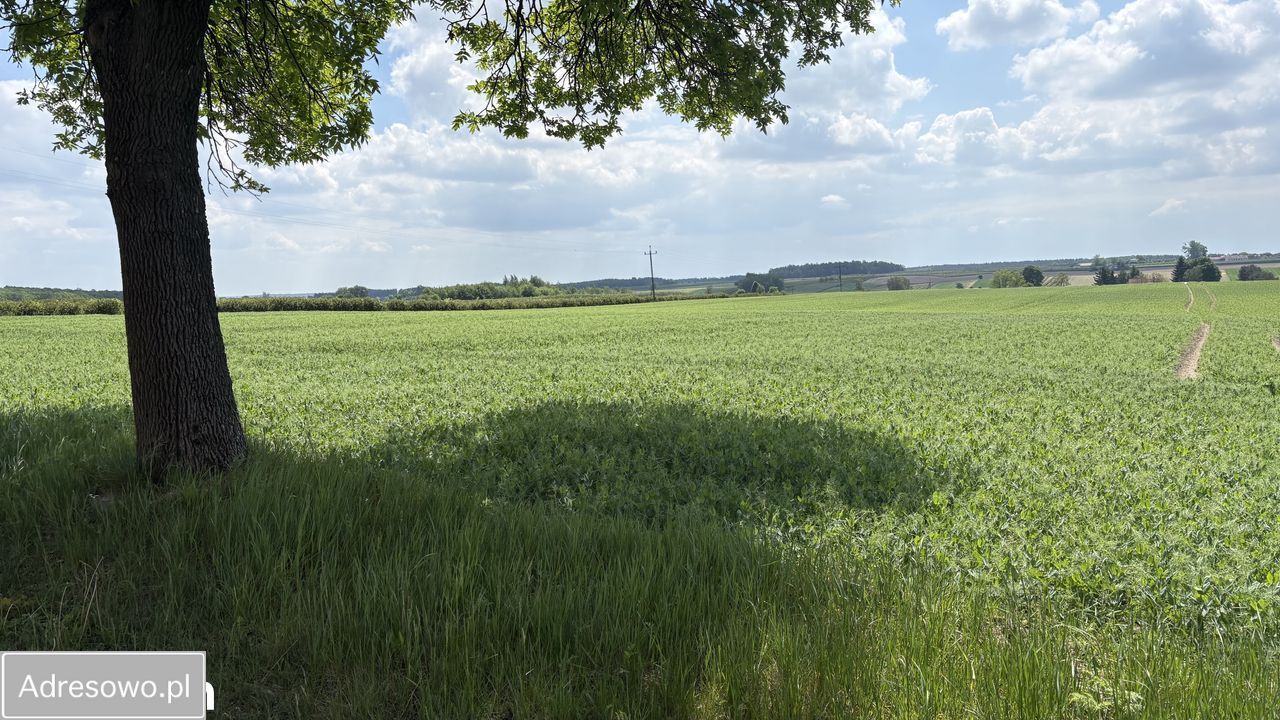 Działka budowlana Dukaczew. Zdjęcie 2
