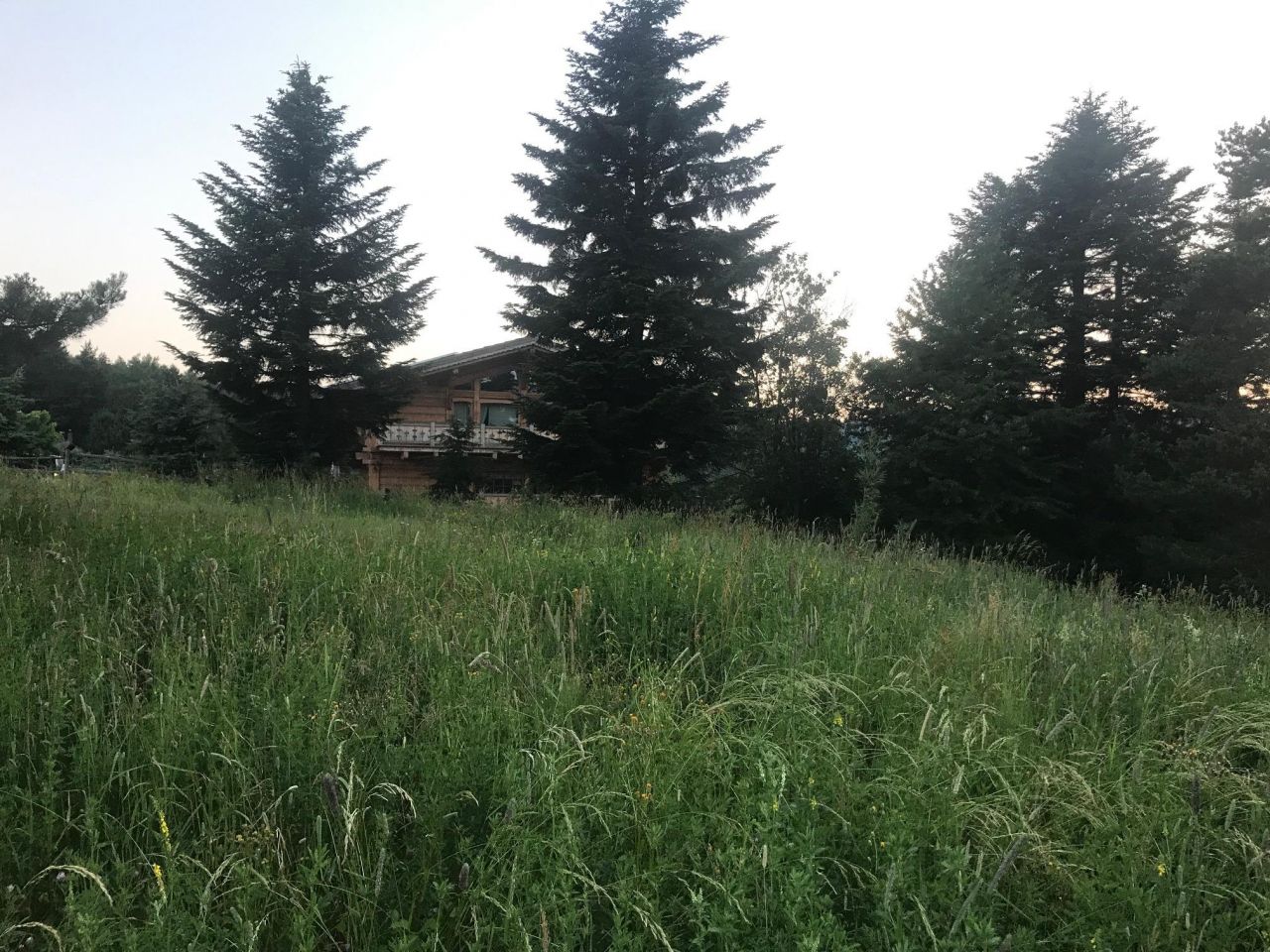 Działka budowlana Berest Przybudowa. Zdjęcie 4