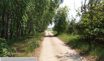 Działka siedliskowa Stęszewko