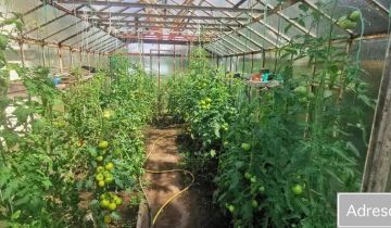 Działka rod Koszalin