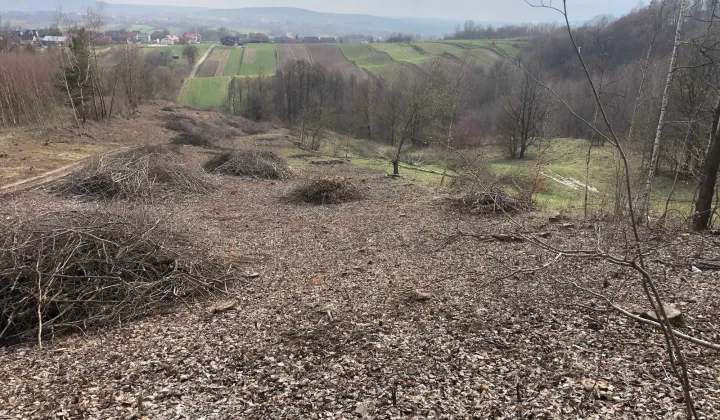 Działka rolna Mąchocice Kapitulne