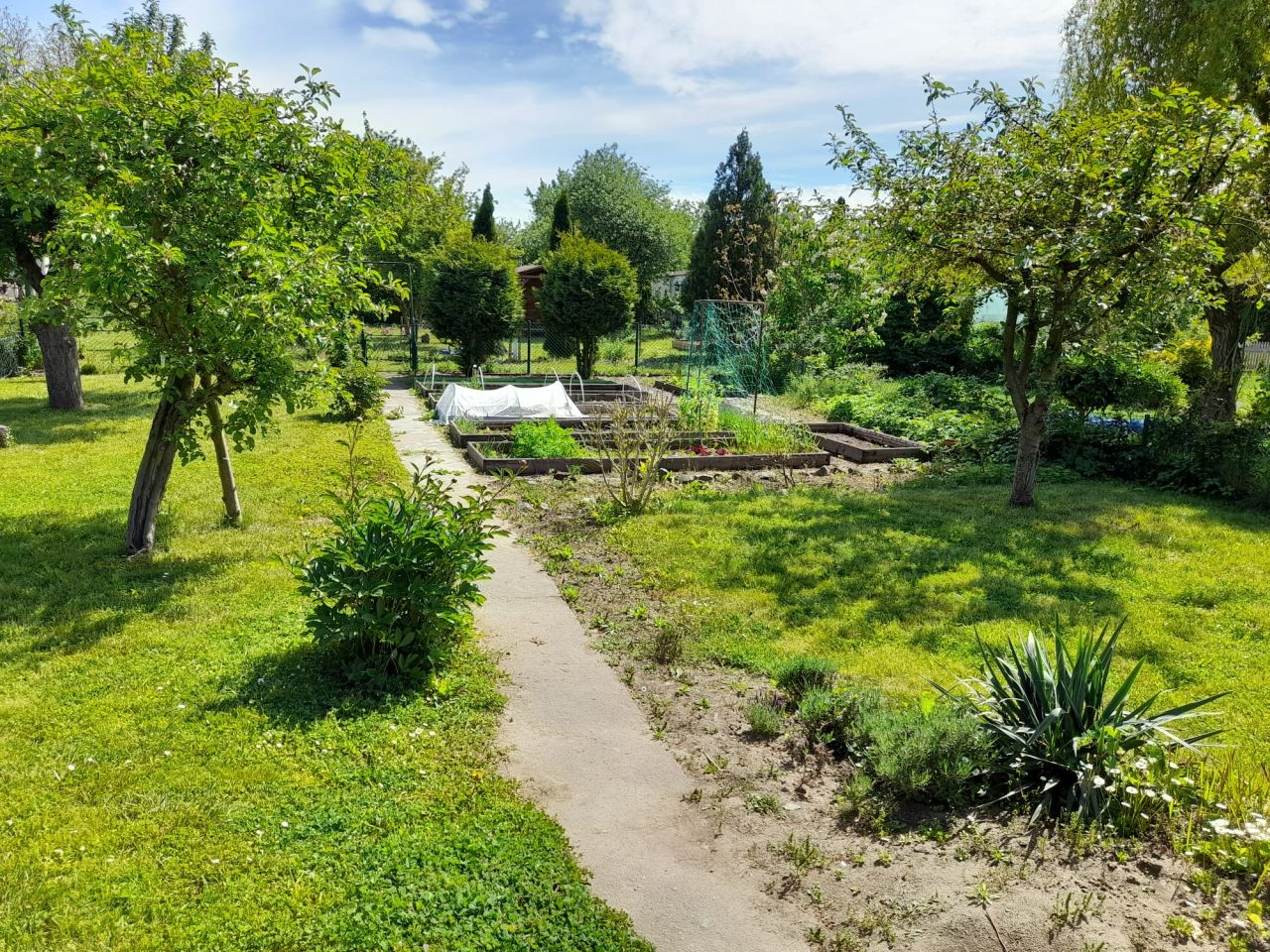 Działka rod Toruń Bydgoskie Przedmieście, ul. Stanisława Przybyszewskiego