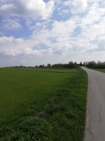 Działka rolna Czechów. Zdjęcie 1