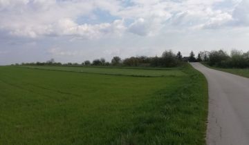 Działka rolna Czechów