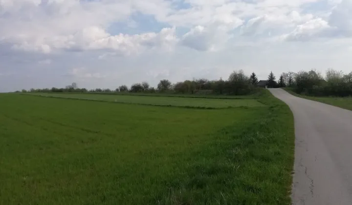 Działka rolna Czechów