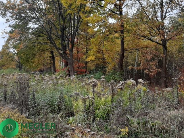 Działka budowlana Rusiec. Zdjęcie 1