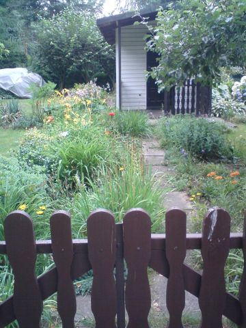 Działka rod Tuszyn, ul. Molenda. Zdjęcie 2