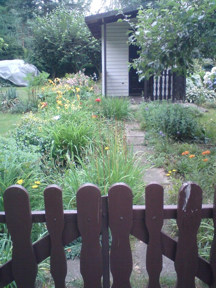 Działka rod Tuszyn, ul. Molenda. Zdjęcie 2