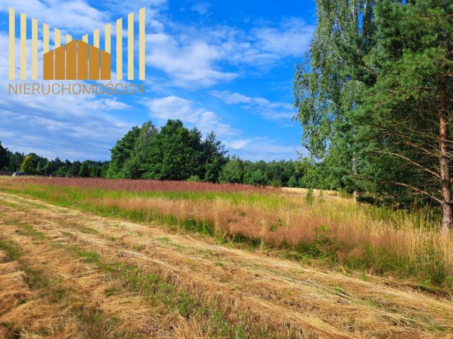 Działka budowlana Mrozy. Zdjęcie 5