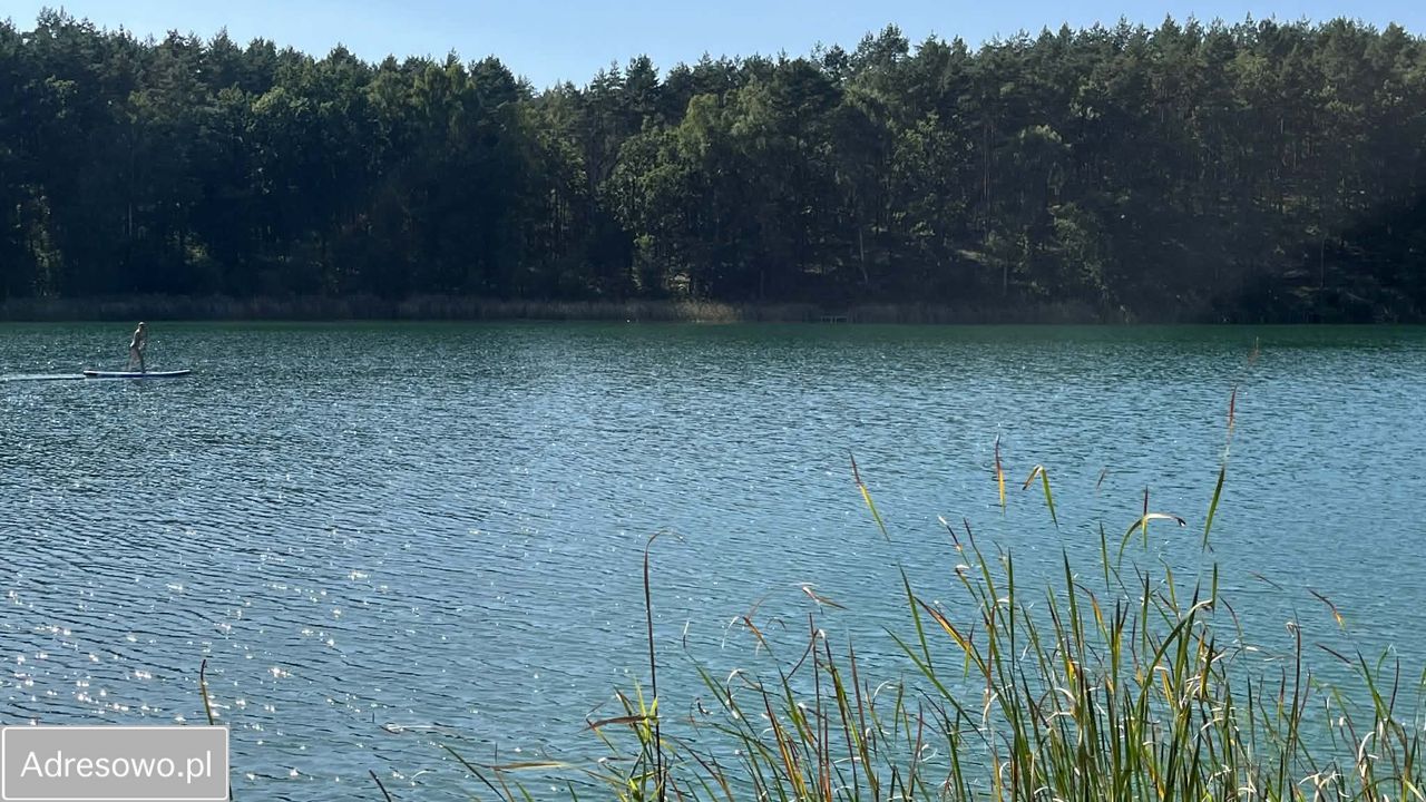 Działka rekreacyjna Borowy Młyn. Zdjęcie 12
