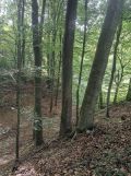 Działka rolna Chrzanów Chrzanów Czwarty. Zdjęcie 1